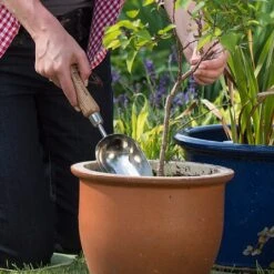 New Products -Chic Outdoor Garden 1002024 1