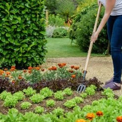 New Products -Chic Outdoor Garden 1031071 1