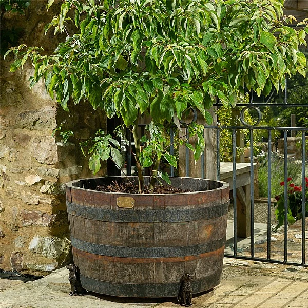 Jardinopia Plant Pot Feet Bronze Labrador - Set Of 3 3 Jardinopia Plant Pot Feet Bronze Labrador - Set Of 3 - Image 3